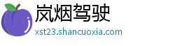 岚烟驾驶 岚烟驾驶